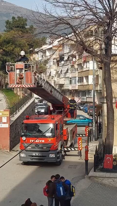 Ağaçta asılı kalan kuşu itfaiye ekipleri kurtardı