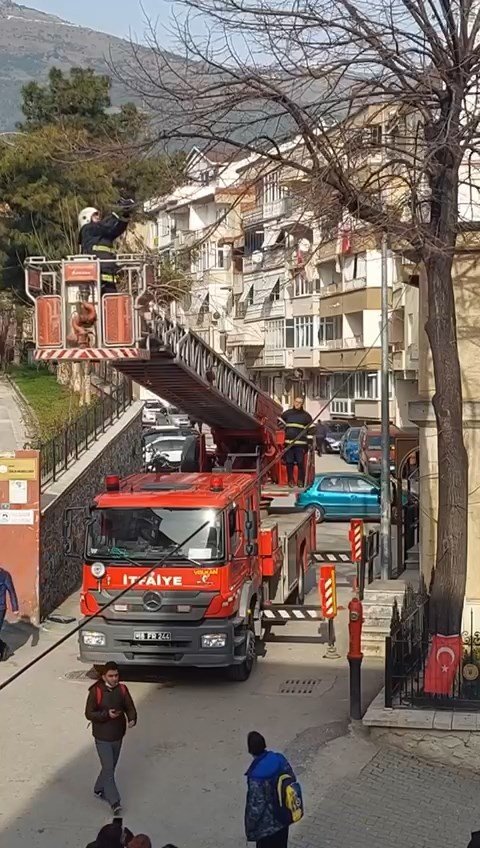 Ağaçta asılı kalan kuşu itfaiye ekipleri kurtardı
