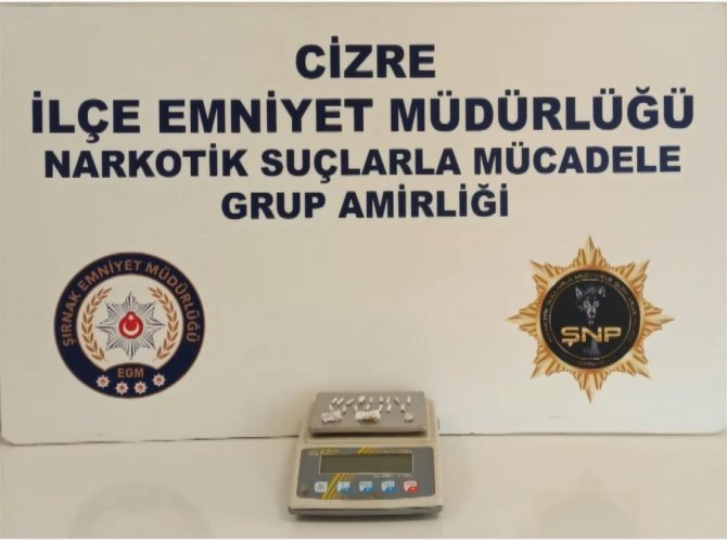 Hassas burunlu köpeklerle narkotik operasyonu