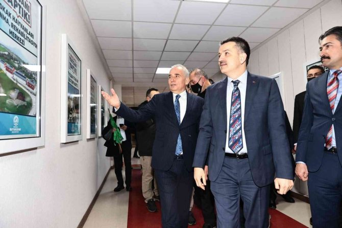 Bakan Pakdemirli, Denizli’yi Ege’ye örnek gösterdi