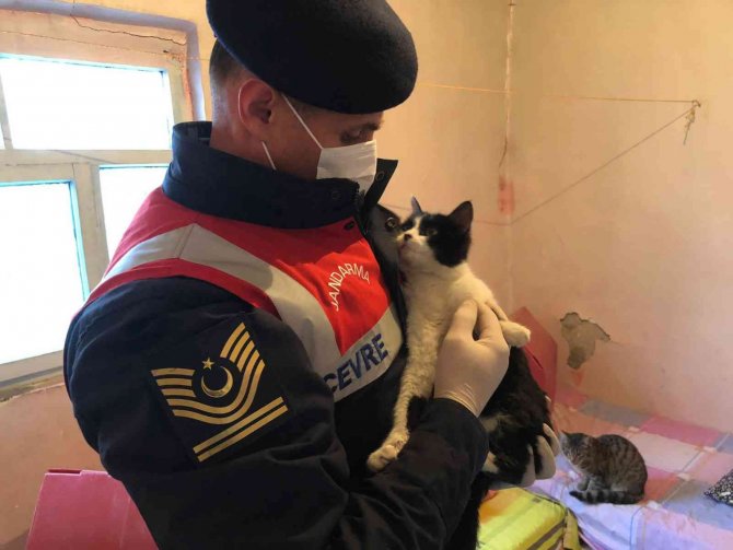 Jandarma’dan yürek ısıtan hareket