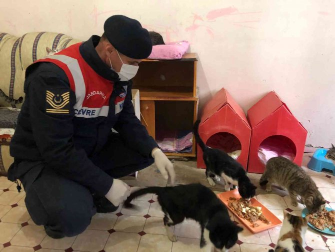 Jandarma’dan yürek ısıtan hareket