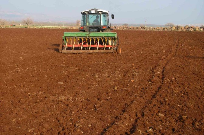 Araban Ovasında nohut ekimine başlandı