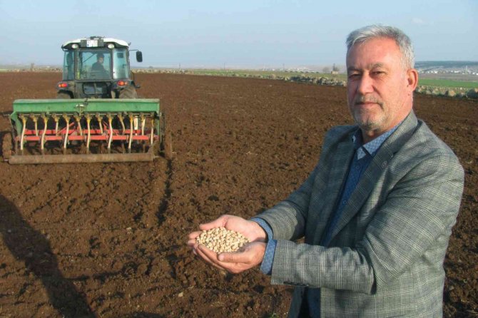 Araban Ovasında nohut ekimine başlandı