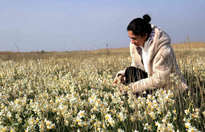 Adana’nın saklı cenneti: "Nergis Adası"