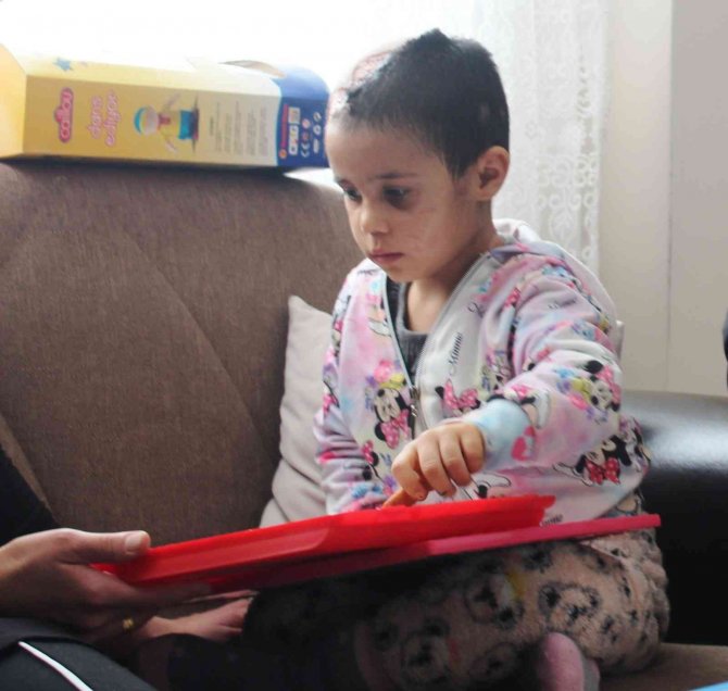 Minik Asiye’nin pitbull saldırısına uğramasına ilişkin dava başladı