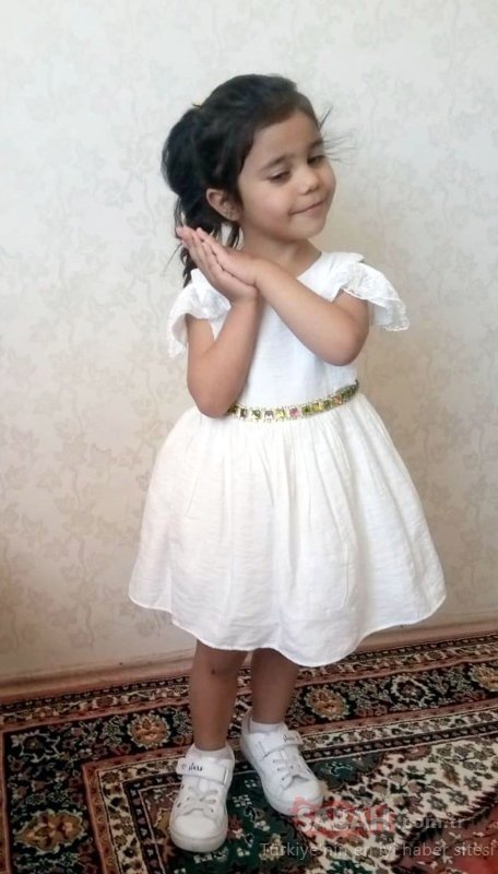 Minik Asiye’nin pitbull saldırısına uğramasına ilişkin dava başladı