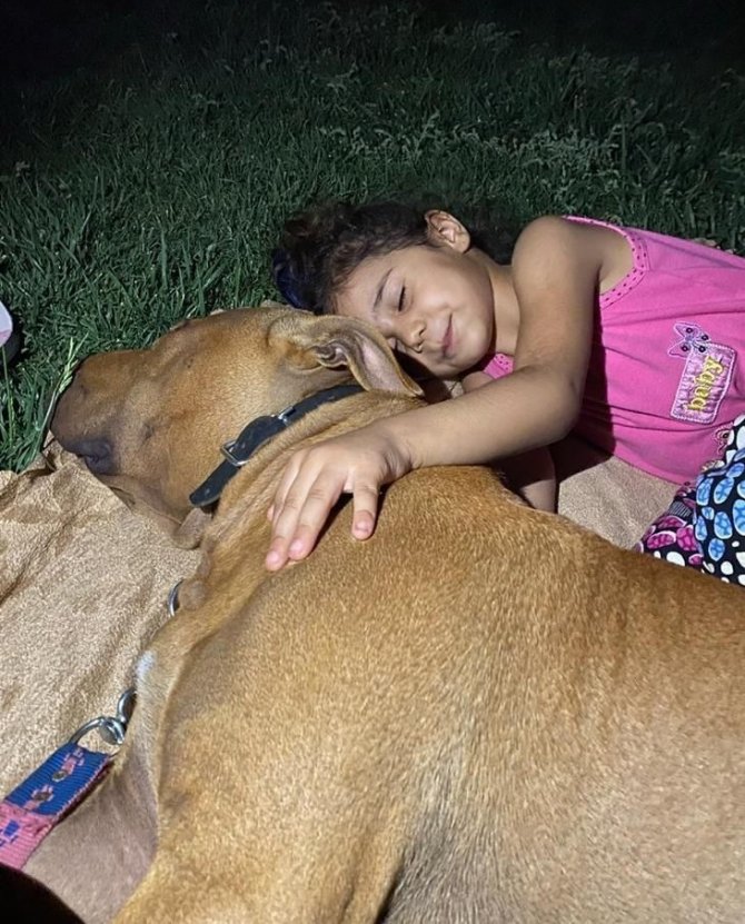 Minik Asiye’nin pitbull saldırısına uğramasına ilişkin dava başladı