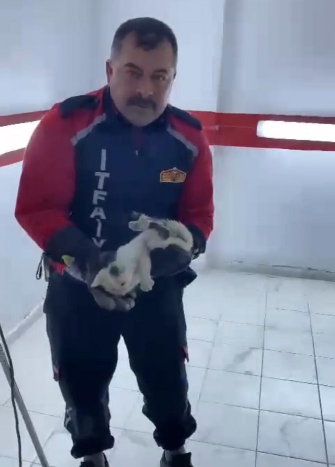 Havalandırmada sıkışan yavru kediyi itfaiye kurtardı