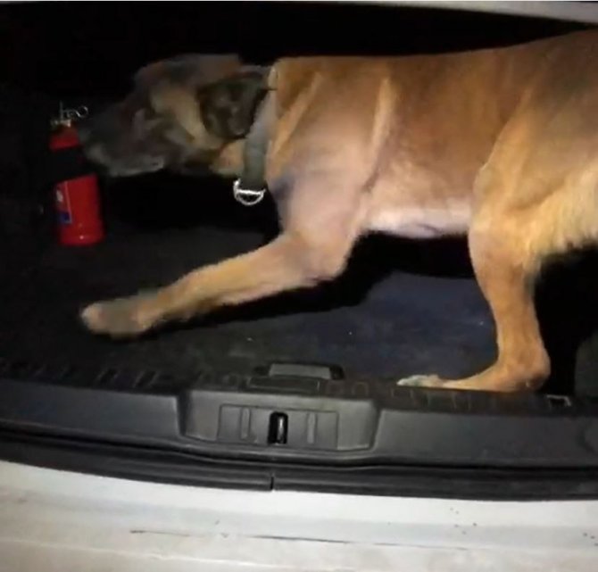 Yabancı plakalı araçta 18 kilo eroini ‘Stark’ buldu