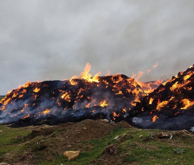 8 bin saman balyası kül oldu