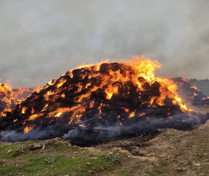 8 bin saman balyası kül oldu