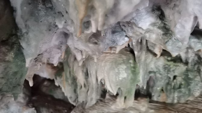 Hayvanlarını otlatırken binlerce yıllık mağarayı buldular