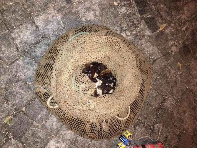 İzmir’de kaçak avlanan bir kişiye, 24 bin 677 lira ceza kesildi