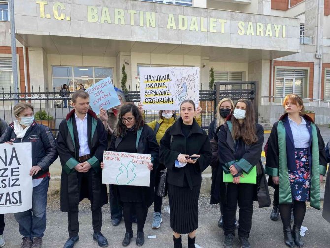 Köpeğe cinsel taciz davasında kan donduran ifadeler