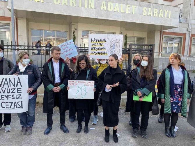 Köpeğe cinsel taciz davasında kan donduran ifadeler