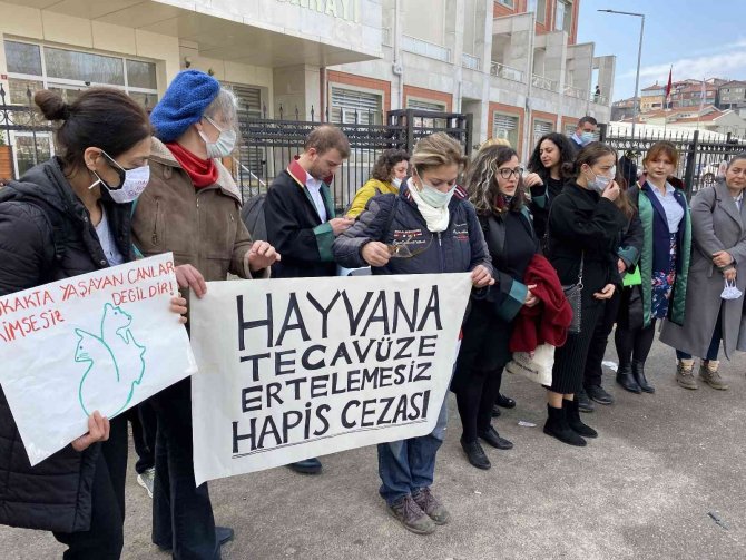 Köpeğe cinsel taciz davasında kan donduran ifadeler