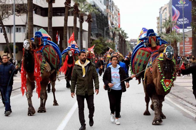 Pehlivan develer görücüye çıktı