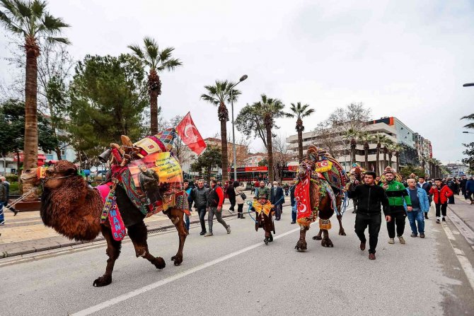Pehlivan develer görücüye çıktı