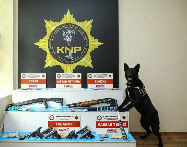 Uyuşturucu operasyonuna 12 tutuklama