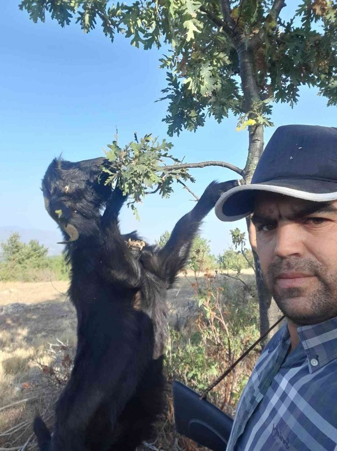 Fabrikaya sızan hidrojen sülfür gazından zehirlenen işçi, yaşam mücadelesini kaybetti