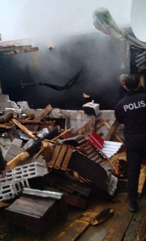 Yangında 4 büyükbaş hayvan telef oldu