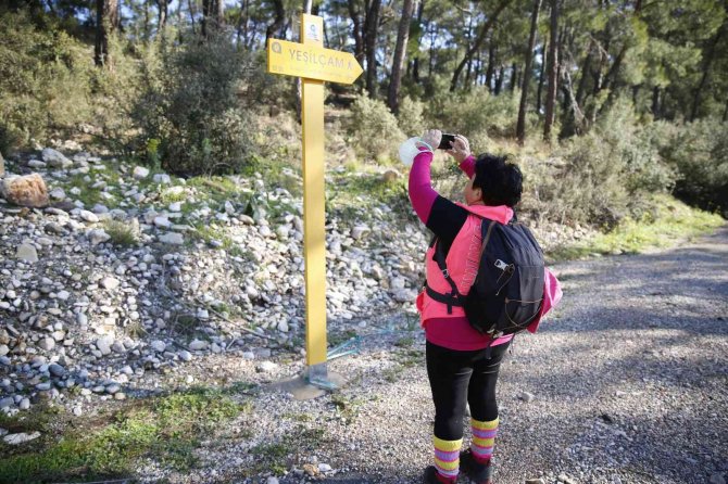 Yeşilçam yolunda doğa ile iç içe yürüyüş keyfi