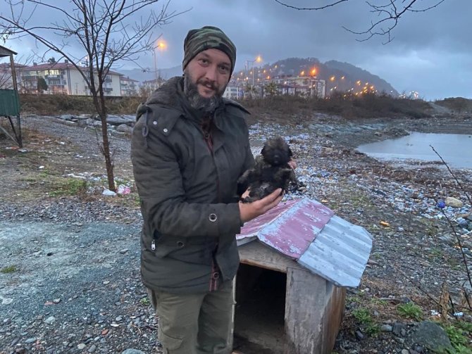 Deniz kenarındaki kayalıklarda doğuran köpek ve yavruları için vatandaşlar seferber oldu
