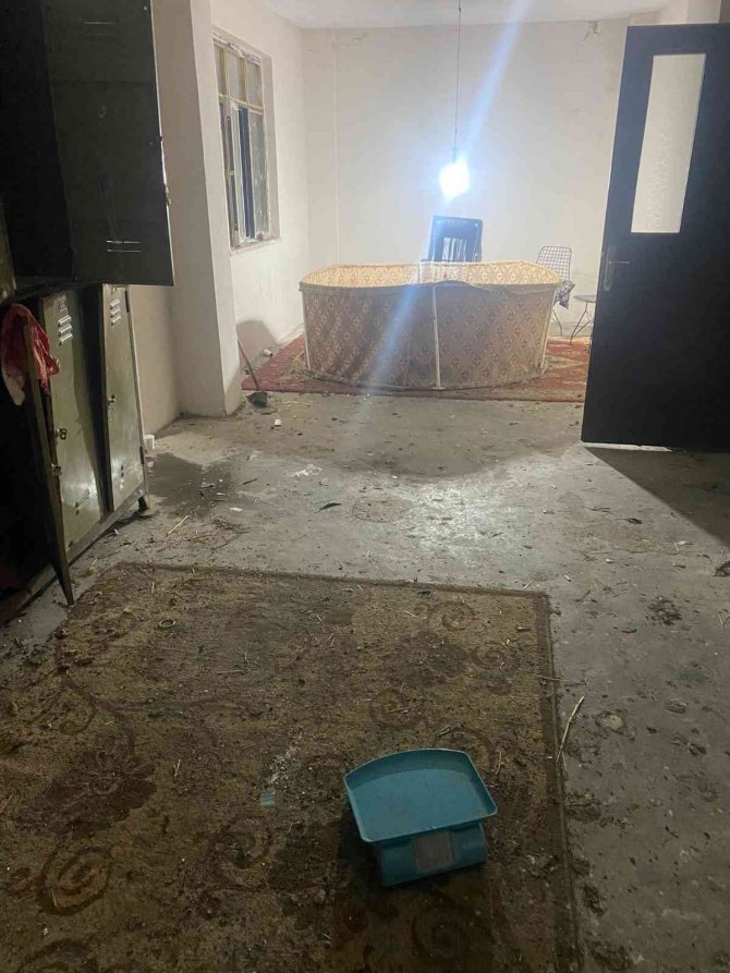 Horoz dövüştürenlere 13 bin TL para cezası