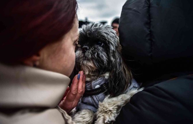 Türk vatandaşlarını taşıyan tahliye treni Çernihiv’e ulaştı