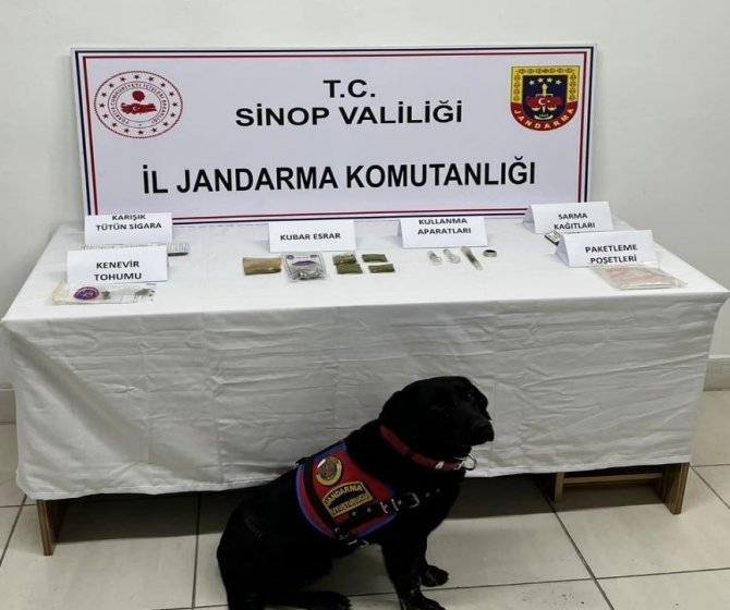 Zehir tacirlerine operasyon