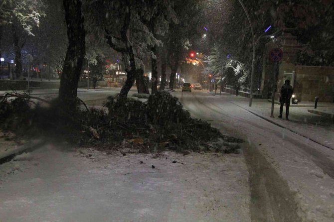 Üniversite öğrencisi son anda kurtuldu