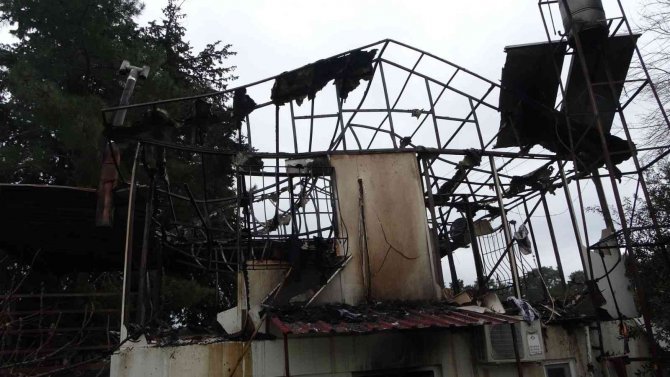 Yaşlı kadın yanarak öldü