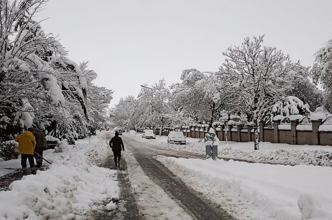 Konya’da kar yağışı ağaçları devirdi