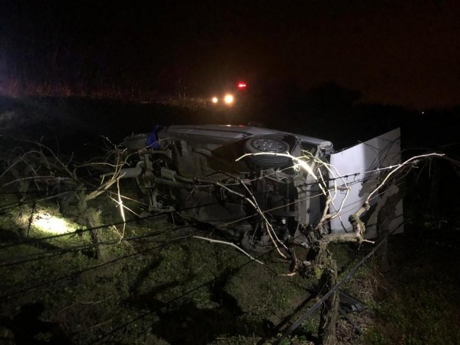 Otomobil üzüm bağına uçtu: 1 yaralı