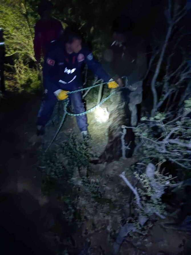 Kuyuya düşen keçiyi itfaiye kurtardı