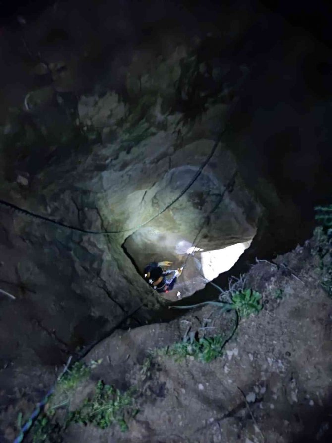 Kuyuya düşen keçiyi itfaiye kurtardı