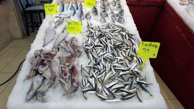 Sert hava koşulları balık fiyatlarını yükseltti