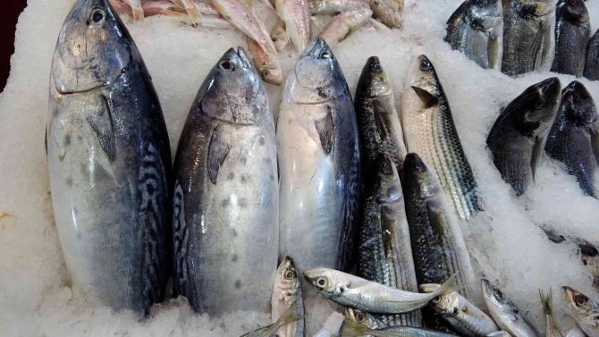Sert hava koşulları balık fiyatlarını yükseltti