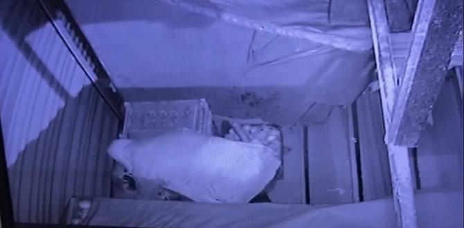 19 araç soyan “Kelebek Atilla” lakaplı hırsız yakalandı