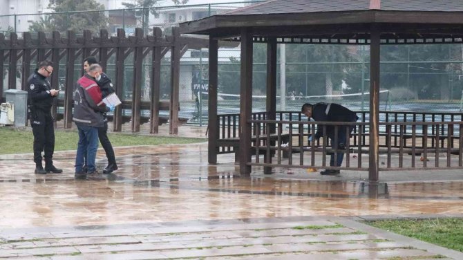 Gençlerin kamelyadaki kavgasında kan aktı