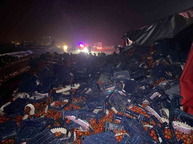 Devrilen tırın dorsesindeki tonlarca domates yola savruldu