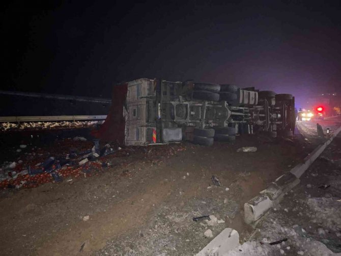 Devrilen tırın dorsesindeki tonlarca domates yola savruldu