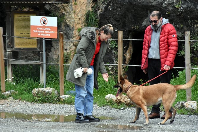 Bir köpeğin ağaca asılarak öldürülmesi tepki gördü