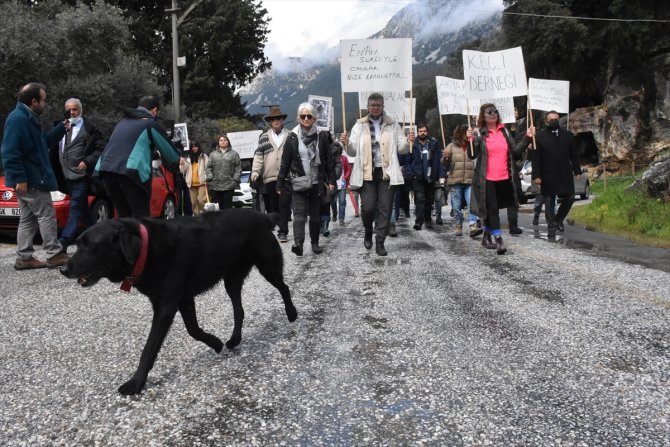 Bir köpeğin ağaca asılarak öldürülmesi tepki gördü