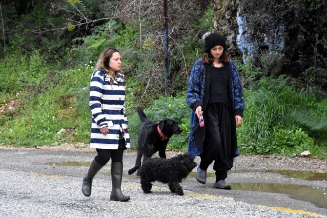 Bir köpeğin ağaca asılarak öldürülmesi tepki gördü