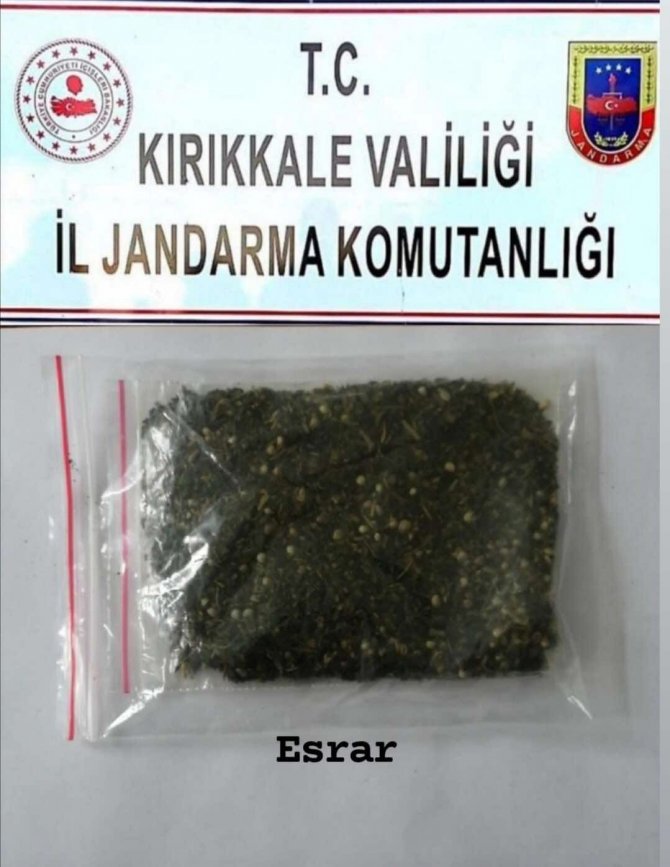 Narkotik köpeği ’Tepe’ uyuşturucu madde buldu