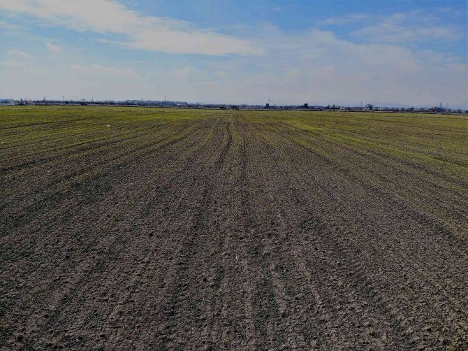 Yağışlar yüz güldürdü