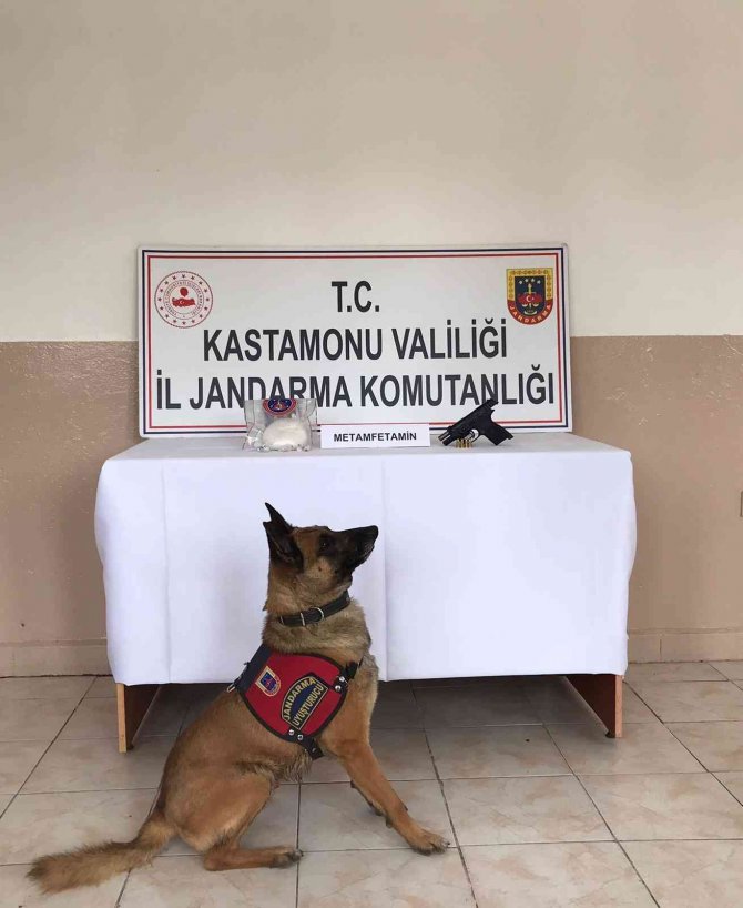 Zehir tacirleri yakalandı