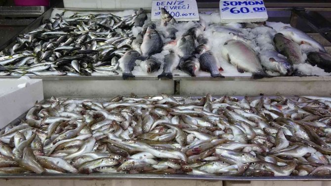 Balıkçıların akaryakıt endişesi